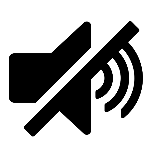 Mute Video